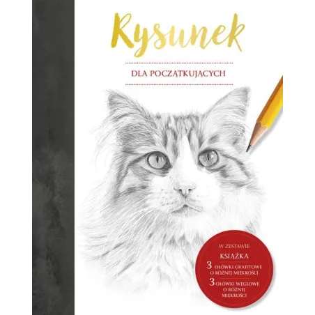 RYSUNEK DLA POCZĄTKUJĄCYCH