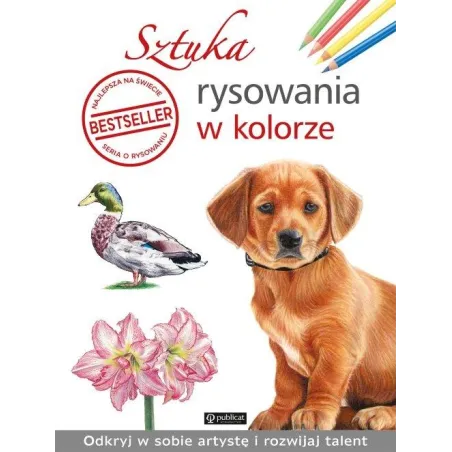 Sztuka Rysowania W Kolorze Sztuka Rysowania W Kolorze