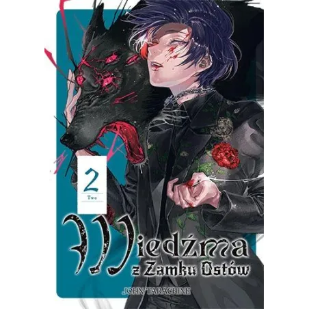 WIEDŹMA Z ZAMKU OSTÓW. TOM 2