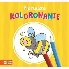 PIERWSZE KOLOROWANIE 12M+ - Zielona Sowa