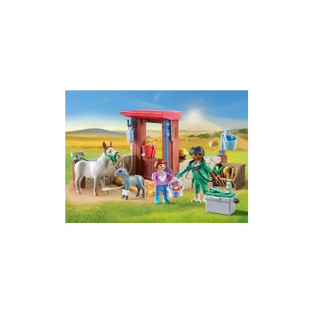 Pani Weterynarz Z Osiołkami Playmobil 4+