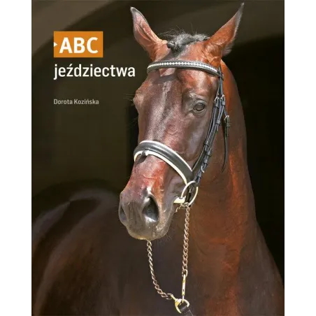 Abc Jeździectwa Abc Jeździectwa
