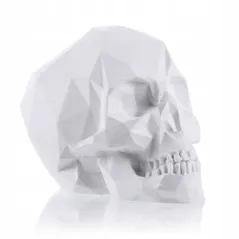 KOLOROWANKA 3D CZASZKA FIGURKA GIPSOWA 3+