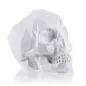 Kolorowanka 3D Czaszka Figurka Gipsowa 3+ Kolorowanka 3D Czaszka Figurka Gipsowa 3+