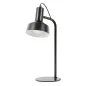 Lampa Biurkowa Metalowa E14 25W Platinet Ptl2542 Lampa Biurkowa Metalowa E14 25W Platinet Ptl2542