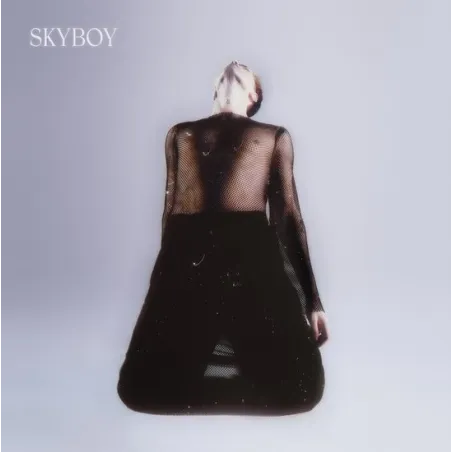 DUCAN LAURENCE SKYBOY CD