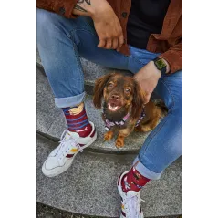 Skarpetki  Walkie Doggie Rozmiar 39-42