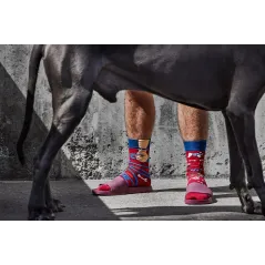 SKARPETKI  WALKIE DOGGIE ROZMIAR 39-42