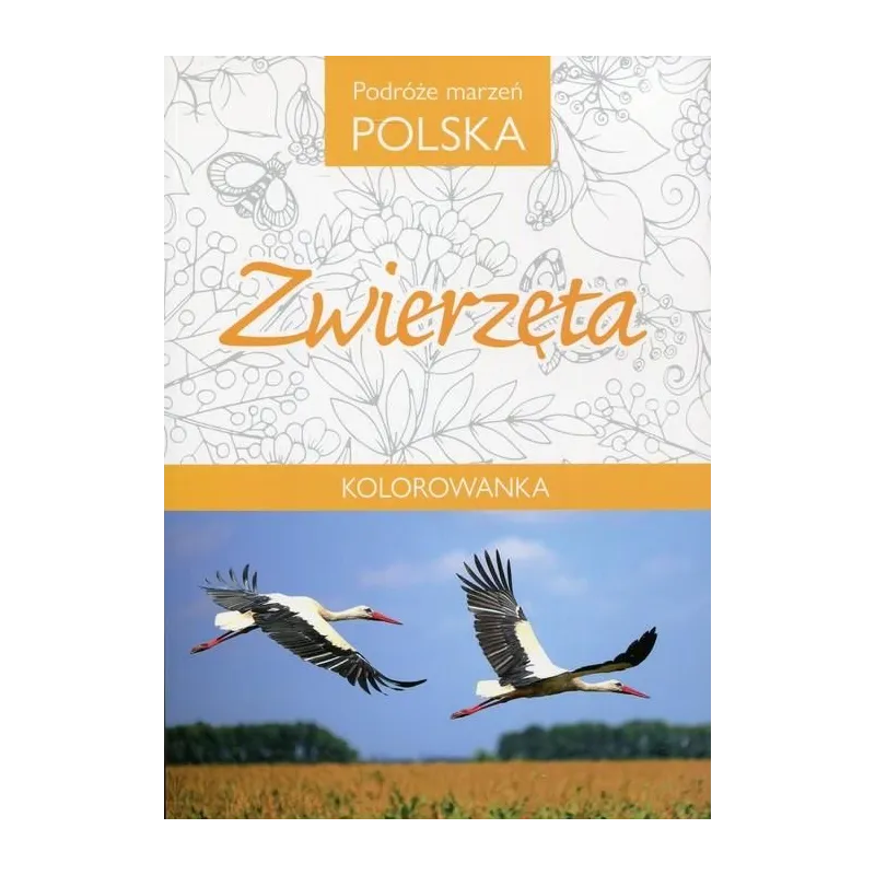KOLOROWANKA. PODRÓŻE MARZEŃ POLSKA. ZWIERZĘTA 