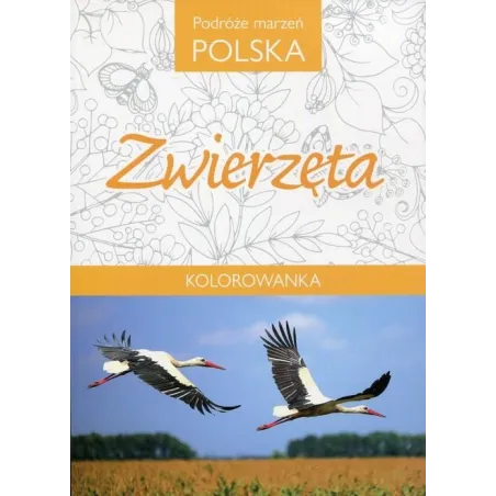 KOLOROWANKA. PODRÓŻE MARZEŃ POLSKA. ZWIERZĘTA 