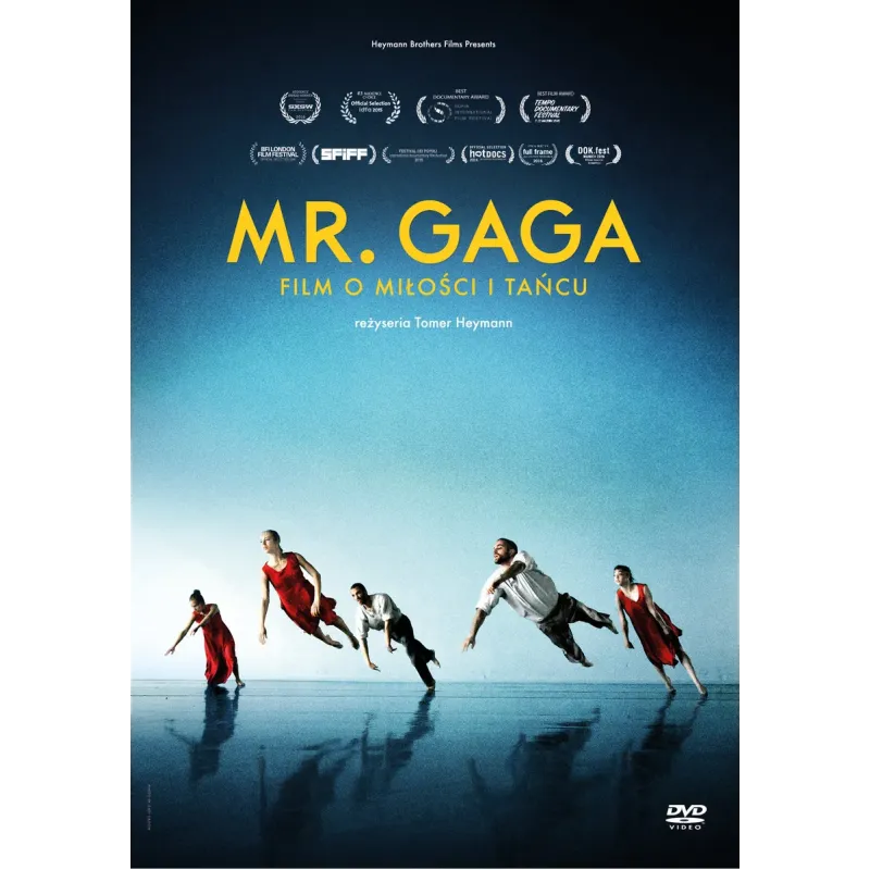 MR. GAGA DVD PL