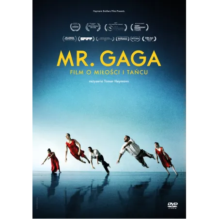 MR. GAGA DVD PL