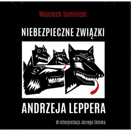NIEBEZPIECZNE ZWIĄZKI ANDRZEJA LEPPERA AUDIOBOOK CD MP3
