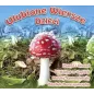 ULUBIONE WIERSZE DZIECI CD