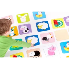 Zwierzęta Na Wsi Moje Pierwsze Memory Gra Edukacyjna Czuczu 2+ Ii Gatunek