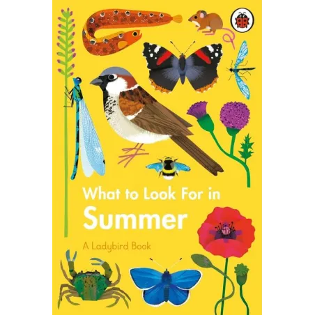 What To Look For In Summer What To Look For In Summer