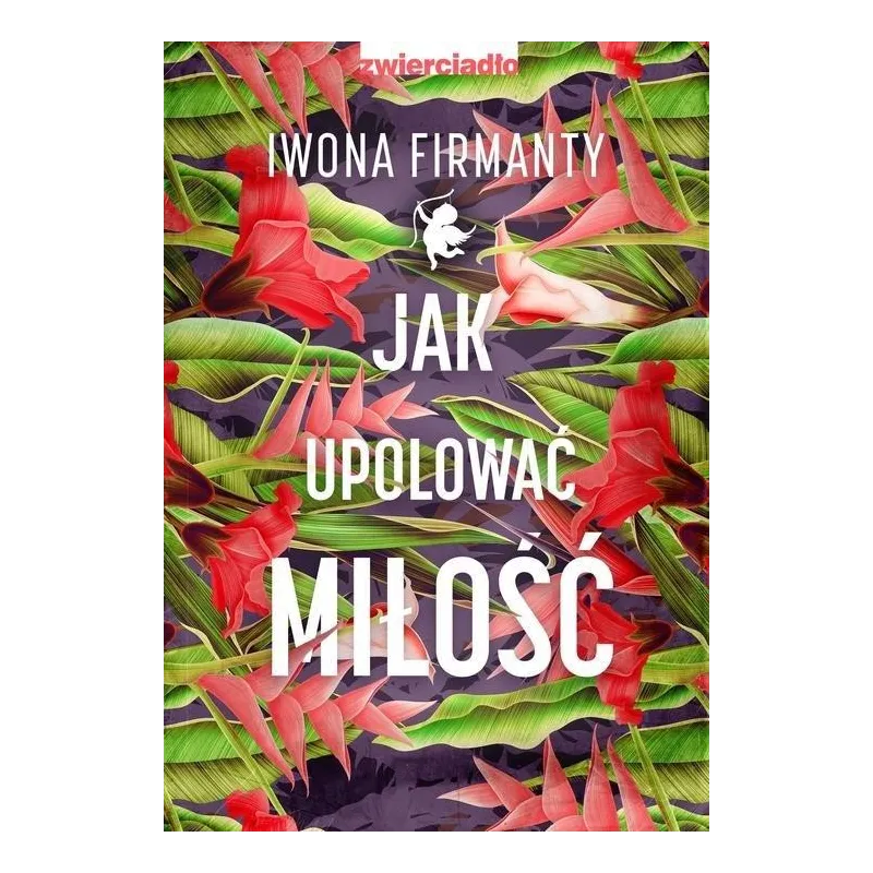 JAK UPOLOWAC MIŁOŚĆ Iwona Firmanty - Zwierciadlo