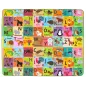 Alfabet Cyferki Szachownica Kontrastowa Piankowa Mata Edukacyjna 180 X 200 Cm 0+ Ii Gatunek Alfabet Cyferki Szachownica Kontrastowa Piankowa Mata Edukacyjna 180 X 200 Cm 0+ Ii Gatunek