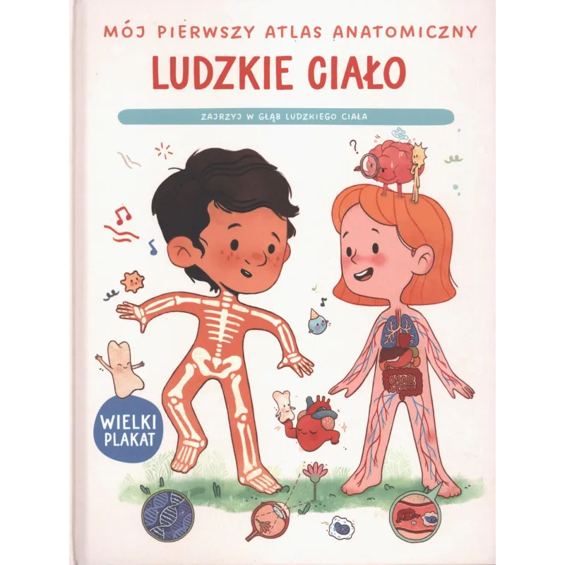 MÓJ PIERWSZY ATLAS ANATOMICZNY. LUDZKIE CIAŁO