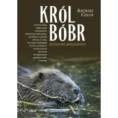 KRÓL BÓBR