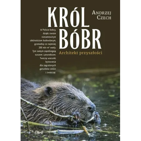 KRÓL BÓBR