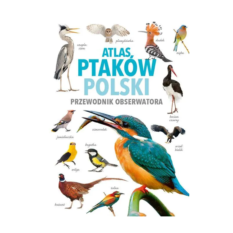 ATLAS PTAKÓW POLSKI