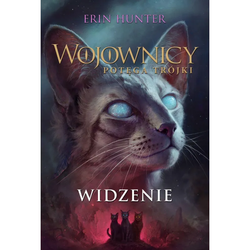 WIDZENIE. WOJOWNICY. POTĘGA TRÓJKI