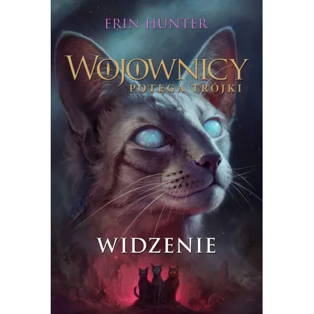 WIDZENIE. WOJOWNICY. POTĘGA TRÓJKI
