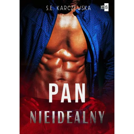Pan Nieidealny