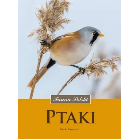 Ptaki Fauna Polski