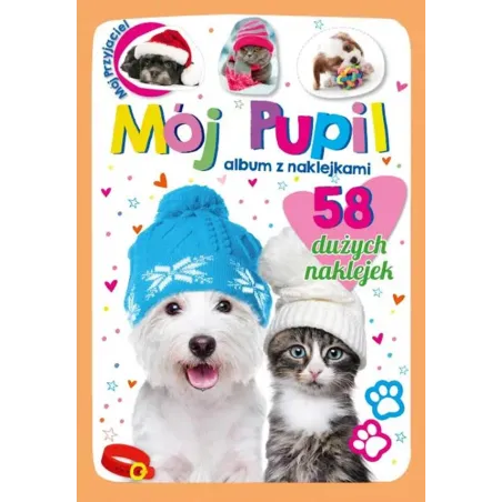 MÓJ PUPIL. ALBUM Z NAKLEJKAMI + DOMINO