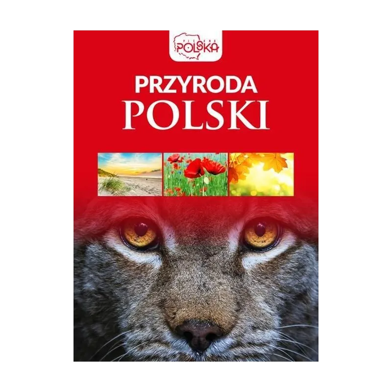 PRZYRODA POLSKI. PIĘKNA POLSKA - Dragon