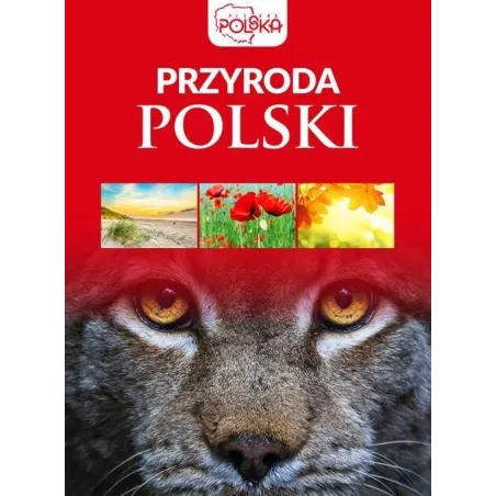 PRZYRODA POLSKI. PIĘKNA POLSKA - Dragon