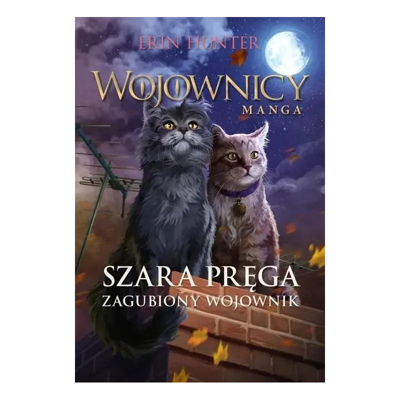 SZARA PRĘGA. ZAGUBIONY WOJOWNIK