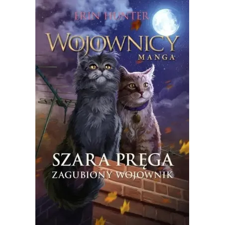 SZARA PRĘGA. ZAGUBIONY WOJOWNIK