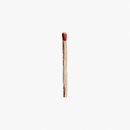 RAMMSTEIN 2XWINYL