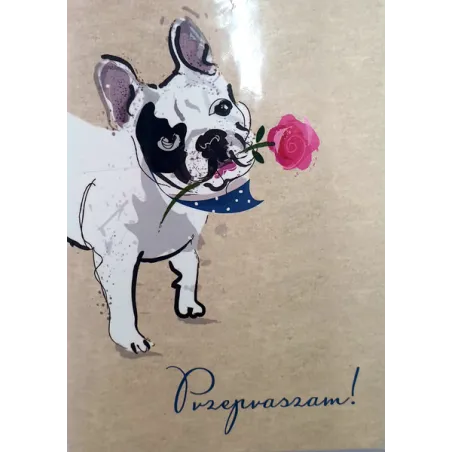 KARNET OKOLICZNOŚCIOWY PRZEPRASZAM