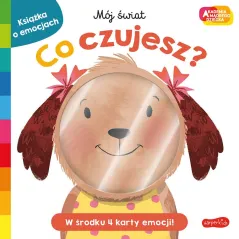 Co czujesz Akademia mądrego dziecka. Mój świat Roger Priddy