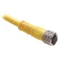 Kabel Przyłączeniowy Allen-Bradley 5M M8 4-Pin Straight Pvc Yellow 889P-F4Ab-5