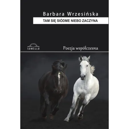 TAM SIĘ SIÓDME NIEBO ZACZYNA Barbara Wrzesińska - Sowello