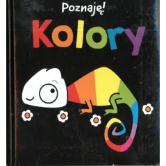 POZNAJĘ KOLORY 