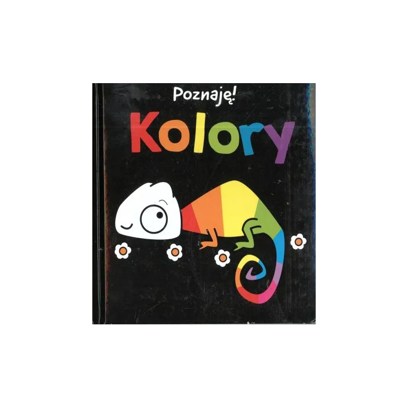 POZNAJĘ KOLORY 