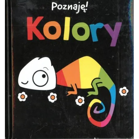 POZNAJĘ KOLORY 