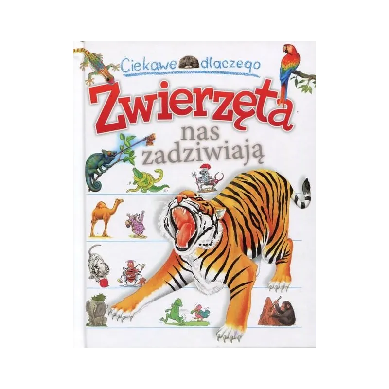 CIEKAWE DLACZEGO. ZWIERZĘTA NAS ZADZIWIAJĄ 