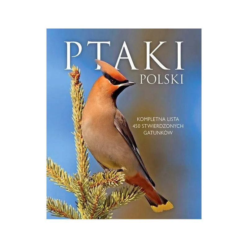 PTAKI POLSKI Dominik Marchowski - SBM