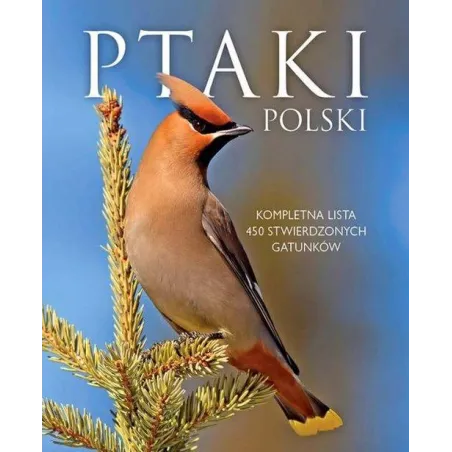 PTAKI POLSKI Dominik Marchowski - SBM
