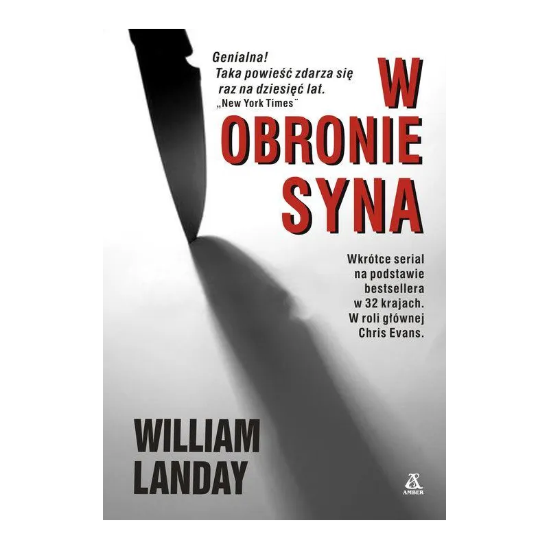 W OBRONIE SYNA William Landay - Amber