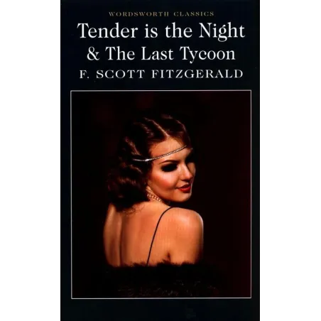 Tender Is The Night And The Last Tycoon Tender Is The Night And The Last Tycoon