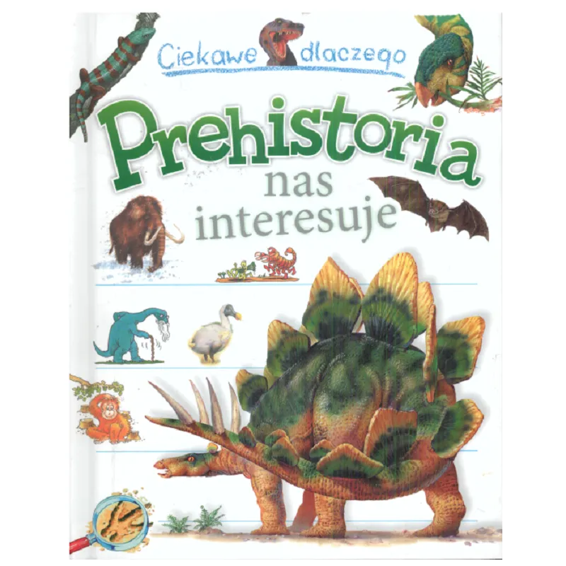 CIEKAWE DLACZEGO PREHISTORIA NAS INTERESUJE - Olesiejuk