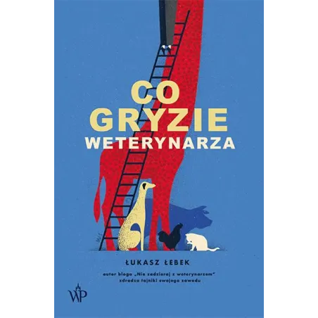 Co Gryzie Weterynarza Co Gryzie Weterynarza